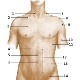 Cuestionarios sobre la anatomía de la superficie del cuerpo